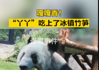 丫丫大口吃冰镇竹笋 网友：肉眼可见的胖了