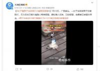 女子被男子摔打 大喊帮我报警