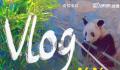 丫丫vlog合集 丰容玩具爱不释手