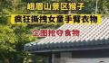 女童被峨眉山猴子撕拽抢夺食物 混乱中有几名游客摔倒在地
