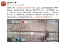 “贪吃蛇”吞下2只鹦鹉被困鸟笼