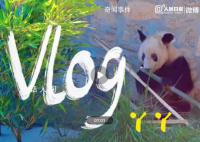 丫丫vlog合集 丰容玩具爱不释手