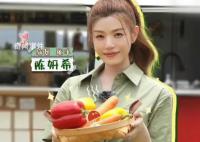 陈妍希首档乡村振兴综艺 公益项目旅游节目