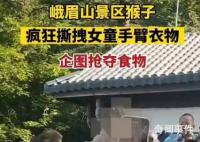 女童被峨眉山猴子撕拽抢夺食物 混乱中有几名游客摔倒在地