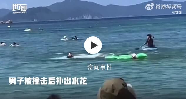 六旬老人被海豚撞成骨折并被啃伤 多名游客在日本近海岸遭海豚袭击