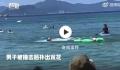六旬老人被海豚撞成骨折并被啃伤 多名游客在日本近海岸遭海豚袭击