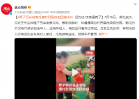 男子百余亩香瓜遭村民昼夜组团偷走 有的还开着车过来拉