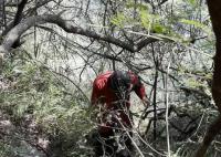 湖南女子为添道菜深山采蘑菇失联 遗体是在悬崖下方约400米处发现
