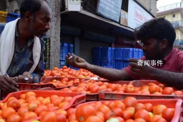 印度爆发“西红柿之乱” 价格猛涨7倍