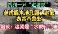 游客逛动物园发现老虎在水里避暑 网友说：把猫猫热坏了