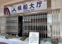 台风泰利登陆:鲸鱼被冲上岸引围观