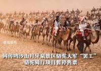 敦煌一景区千余骆驼罢工?景区回应