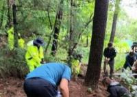 韩国确认249名幽灵儿童死亡 修正案将在6个月后正式施行