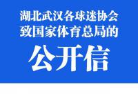 14家武汉球迷会致信体育总局 一场比赛中判罚点球的依据和标准是否一致
