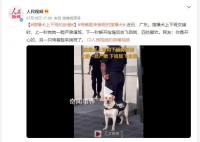 搜爆犬上下班反差 网友：你是开心的另一只垮着脸来换班了
