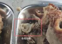 广州通报食堂异物:或为鸭眼球巩膜