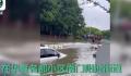 江苏无锡突降暴雨 居民上街摸鱼