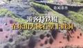 游客用登山杖戳乐山大佛景区石壁 将向相关部门反映