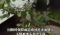 官方通报女子桥洞内避雨被冲走 相关工作仍在继续
