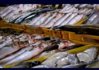 中国海关拦截部分日本水产品 此举被视为对日本核污染水排海计划施加压力