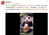 花花被游客喊胖子愣了1秒钟 我们小公举也是要面子的好哇啦