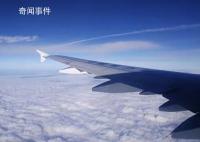 飞机延误6小时发现金 乘客:消气了