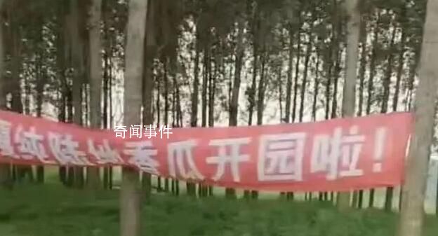 城管称拆条幅事件已获瓜农谅解 引发网络关注