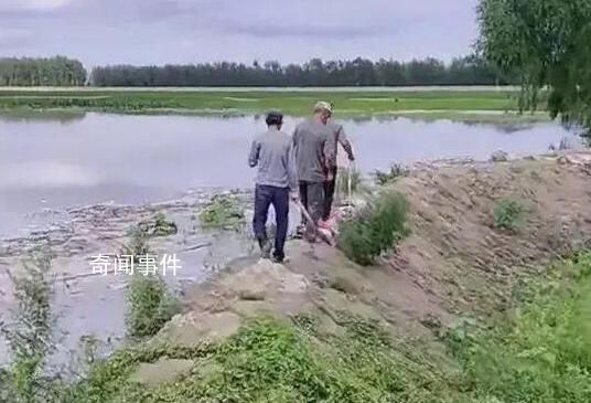 两男子挖堤坝灌溉玉米地瞬间被淹 具体什么情况