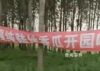 疑城管拔瓜田横幅:种地不能打广告