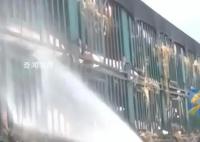 白猪中暑变粉猪119及时解救 成功保住了这群价值七八十万元的猪