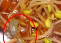 男子称在饭店毛血旺里吃出壁虎 索赔未果后闹大了