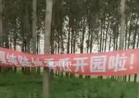 疑城管拔掉瓜田横幅:种地不能打广告
