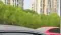 宝马车主回应与布加迪相撞:已和解