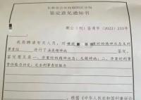 女子被抛砖砸死 嫌疑人无精神病