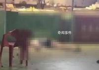 高空抛砖致女子身亡事件最新进展 目前案件已提交至检察院