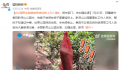 黔灵山公园猕猴被装袋挂树上 猴子若在管辖范围内将做进一步处理