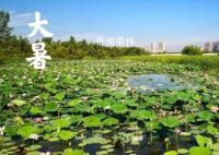 黑龙江多地“大暑”不暑