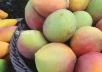 芒果什么时候应季 芒果是什么季节的水果 芒果的营养价值怎么样