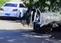 女子驾车掉入水库致祖孙3人溺亡 给亲人留下撕心裂肺的悲恸