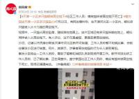 天津一小区15只猫坠亡 警方回应