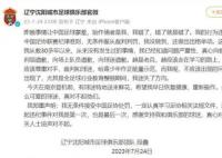 掌掴主裁者致歉:让中国足球蒙羞