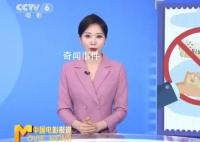 六公主报道黄牛倒卖演唱会门票 与主办方形成利益共同体