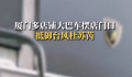 兰博基尼老板租4辆大巴挡台风 此事引发关注