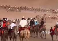 敦煌景区骆驼“罢工”?驼户回应