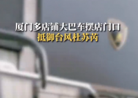兰博基尼老板租4辆大巴挡台风 此事引发关注