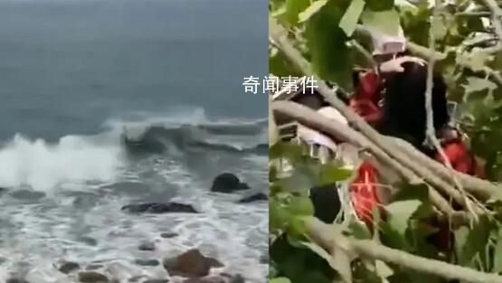 福建现10级风 有树被吹断砸到路人
