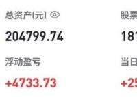 胡锡进:感觉自己可能加仓过急了