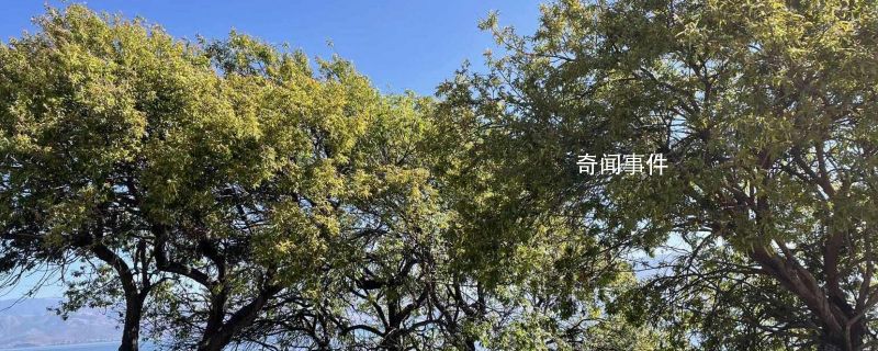 宜春有什么好玩的地方 宜春景点有哪些推荐