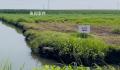 辽宁大片黑土地遭采煤沉降变洼地 村民无法正常耕种耕地被大面积荒废