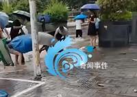 福州积水退去 居民拎麻袋上街抓鱼 